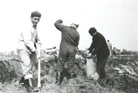 A vezérek is segítenek, 1965 (Középdunántúli Vízügyi Igazgatóság Árvízvédelmi Osztaga 1959-1965)